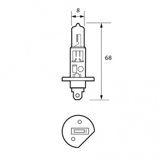 Flosser 3021 12V/55W H1 Halogen Bulb - Made in Germany — Industrial Tec  Supply