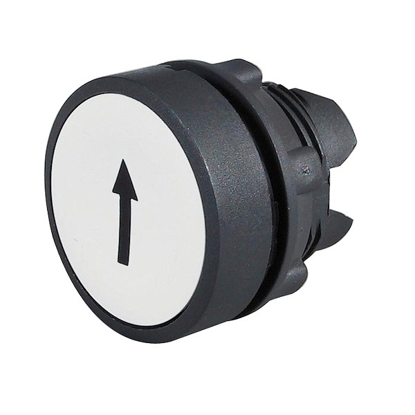 065731 Telemecanique Flush Push Button Spring Return